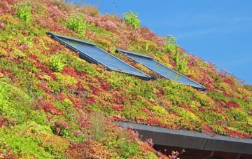 Bonning Gate living roof systems
